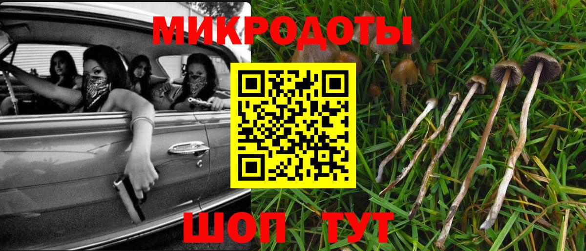 Псилоцибиновые грибы Cubensis  Вход с VPN  Электросталь 