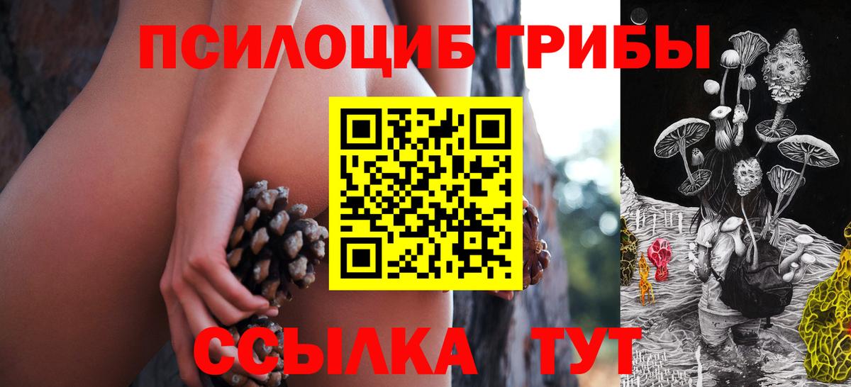 Галлюциногенные грибы GOLDEN TEACHER Электросталь